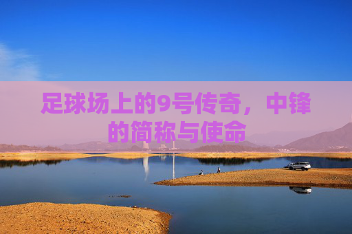 足球场上的9号传奇,中锋的简称与使命