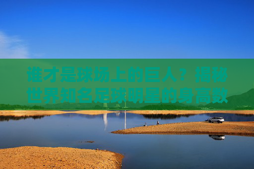 谁才是球场上的巨人?揭秘世界知名足球明星的身高数据