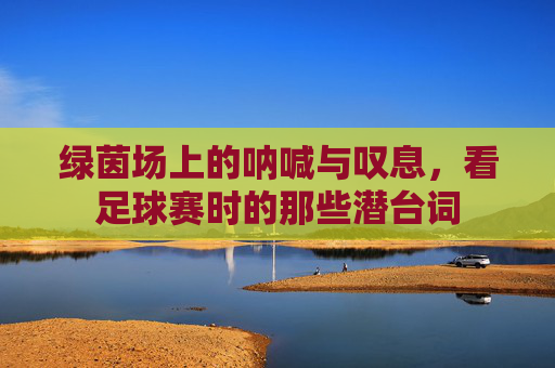 绿茵场上的呐喊与叹息,看足球赛时的那些潜台词