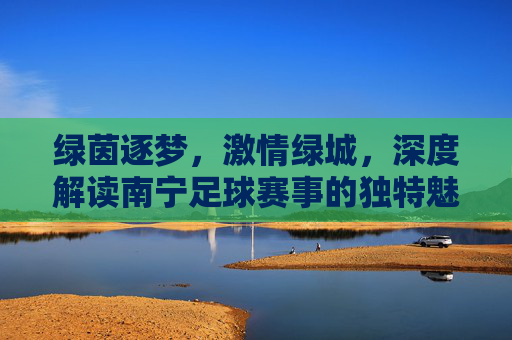 绿茵逐梦,激情绿城,深度解读南宁足球赛事的独特魅力