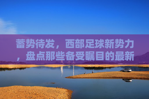 蓄势待发,西部足球新势力,盘点那些备受瞩目的最新足球队员