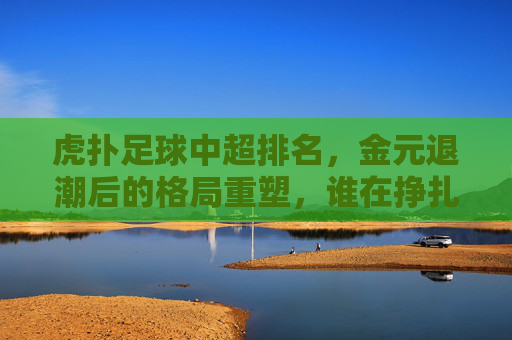 虎扑足球中超排名,金元退潮后的格局重塑,谁在挣扎谁在领跑?