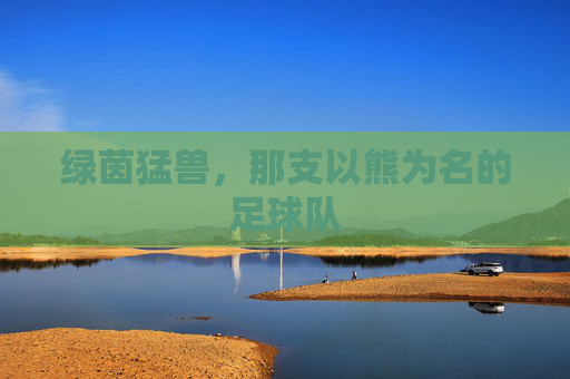 绿茵猛兽,那支以熊为名的足球队