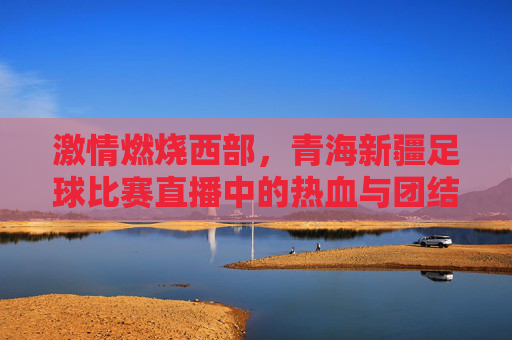 激情燃烧西部,青海新疆足球比赛直播中的热血与团结