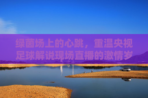 绿茵场上的心跳，重温央视足球解说现场直播的激情岁月