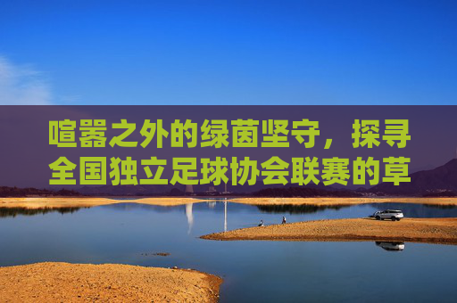 喧嚣之外的绿茵坚守，探寻全国独立足球协会联赛的草根魅力