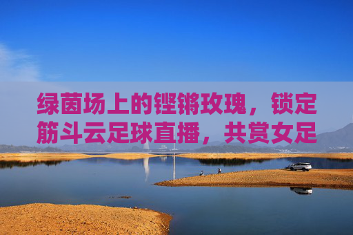 绿茵场上的铿锵玫瑰,锁定筋斗云足球直播,共赏女足荣光