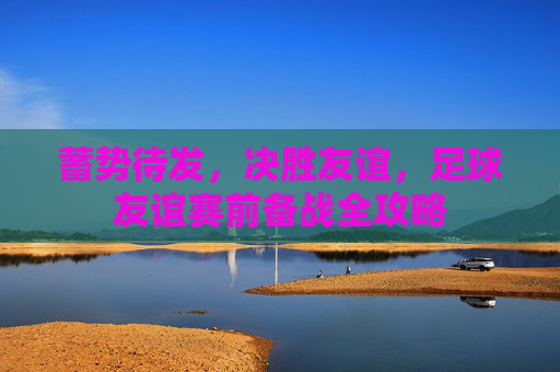 蓄势待发，决胜友谊，足球友谊赛前备战全攻略