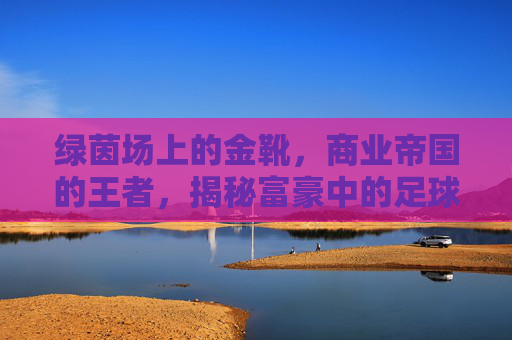 绿茵场上的金靴,商业帝国的王者,揭秘富豪中的足球明星
