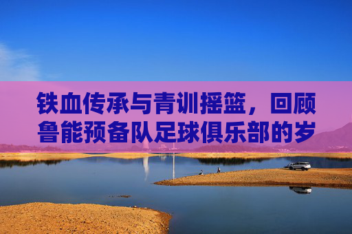 铁血传承与青训摇篮,回顾鲁能预备队足球俱乐部的岁月长歌