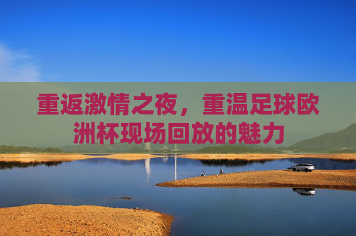 重返激情之夜,重温足球欧洲杯现场回放的魅力