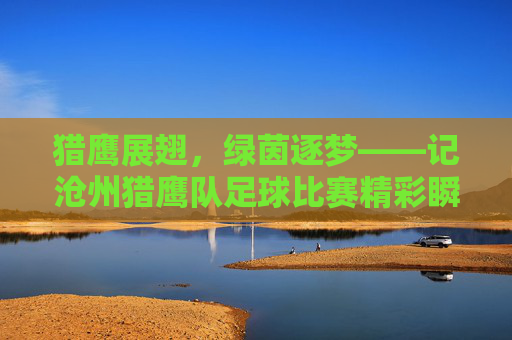 猎鹰展翅,绿茵逐梦——记沧州猎鹰队足球比赛精彩瞬间