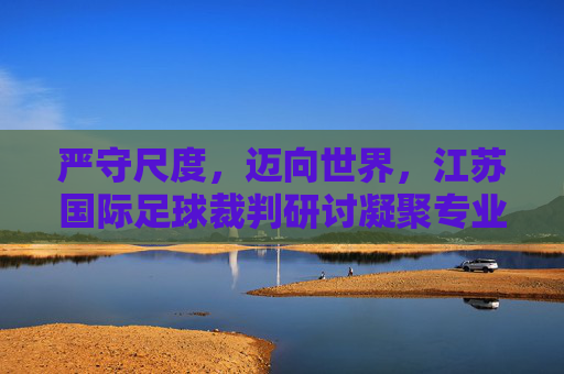 严守尺度,迈向世界,江苏国际足球裁判研讨凝聚专业共识