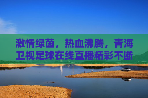 激情绿茵,热血沸腾,青海卫视足球在线直播精彩不断