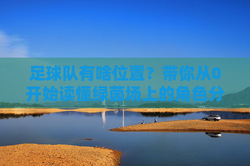 足球队有啥位置？带你从0开始读懂绿茵场上的角色分配