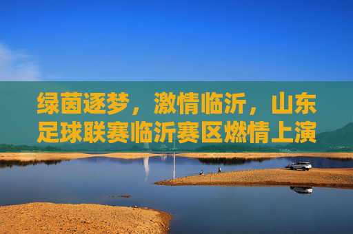 绿茵逐梦,激情临沂,山东足球联赛临沂赛区燃情上演