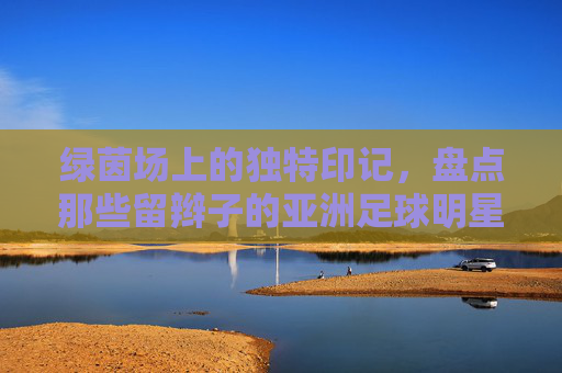 绿茵场上的独特印记,盘点那些留辫子的亚洲足球明星