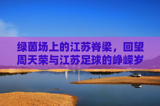 绿茵场上的江苏脊梁,回望周天荣与江苏足球的峥嵘岁月