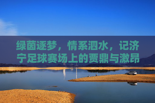 绿茵逐梦,情系泗水,记济宁足球赛场上的贾鼎与激昂比赛