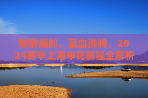 燃情魔都，蓝血沸腾，2024赛季上海申花赛程全解析与观赛指南