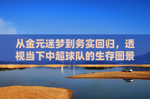 从金元迷梦到务实回归,透视当下中超球队的生存图景