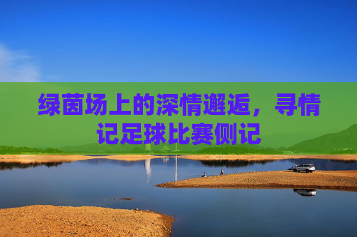 绿茵场上的深情邂逅,寻情记足球比赛侧记