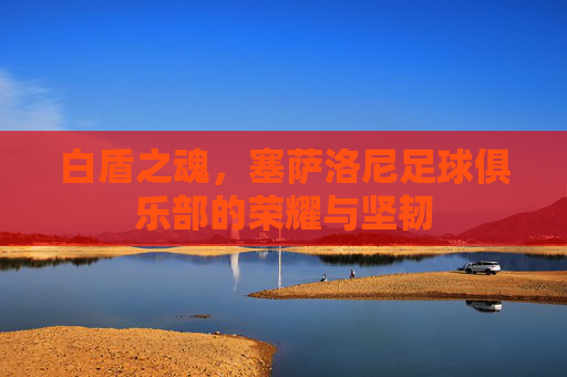 白盾之魂,塞萨洛尼足球俱乐部的荣耀与坚韧