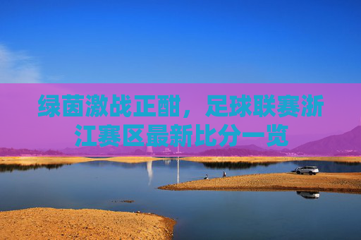 绿茵激战正酣，足球联赛浙江赛区最新比分一览