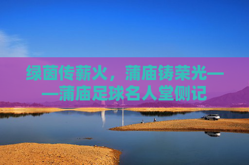 绿茵传薪火,蒲庙铸荣光——蒲庙足球名人堂侧记
