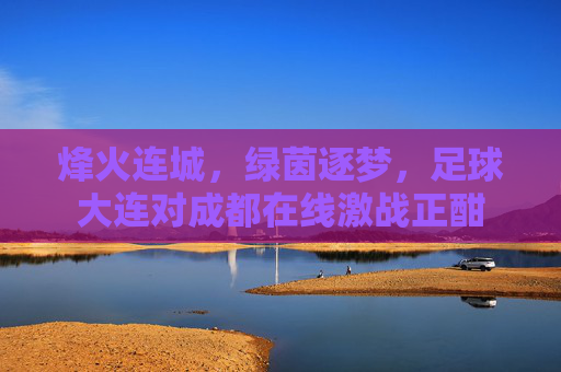 烽火连城,绿茵逐梦,足球大连对成都在线激战正酣
