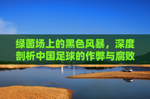 绿茵场上的黑色风暴,深度剖析中国足球的作弊与腐败乱象