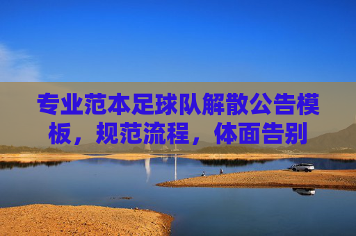专业范本足球队解散公告模板,规范流程,体面告别