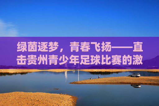 绿茵逐梦,青春飞扬——直击贵州青少年足球比赛的激情瞬间