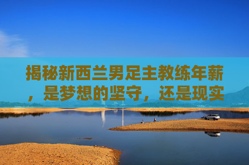 揭秘新西兰男足主教练年薪,是梦想的坚守,还是现实的考量?