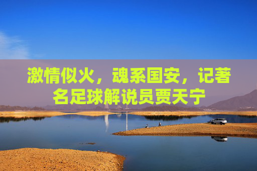 激情似火,魂系国安,记著名足球解说员贾天宁