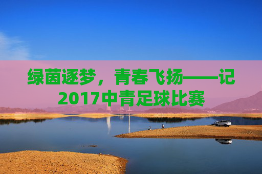 绿茵逐梦,青春飞扬——记2017中青足球比赛