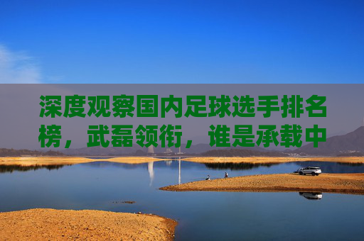 深度观察国内足球选手排名榜,武磊领衔,谁是承载中国足球希望的脊梁?