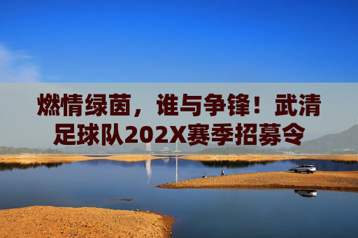 燃情绿茵,谁与争锋!武清足球队202X赛季招募令