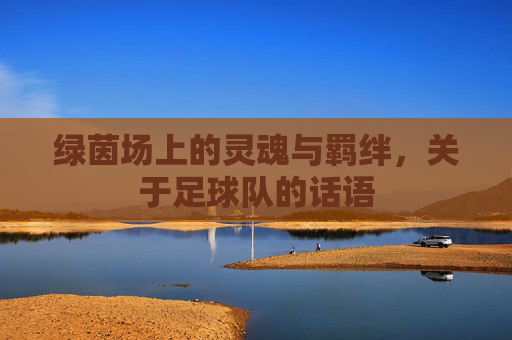 绿茵场上的灵魂与羁绊,关于足球队的话语