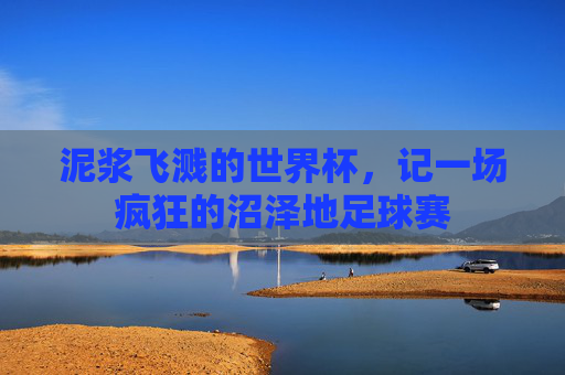 泥浆飞溅的世界杯,记一场疯狂的沼泽地足球赛