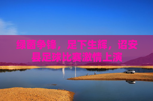 绿茵争锋,足下生辉,诏安县足球比赛激情上演