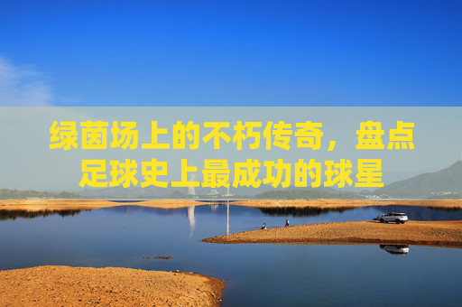 绿茵场上的不朽传奇,盘点足球史上最成功的球星