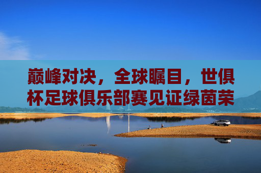 巅峰对决,全球瞩目,世俱杯足球俱乐部赛见证绿茵荣耀时刻