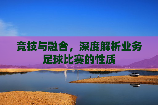 竞技与融合，深度解析业务足球比赛的性质