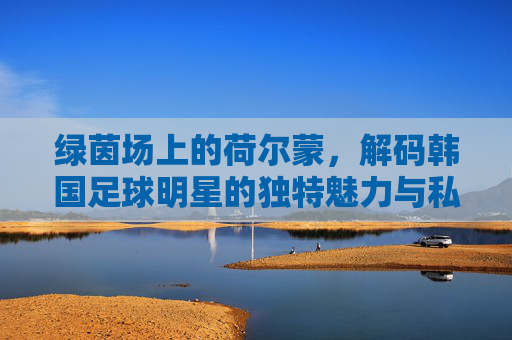 绿茵场上的荷尔蒙，解码韩国足球明星的独特魅力与私域