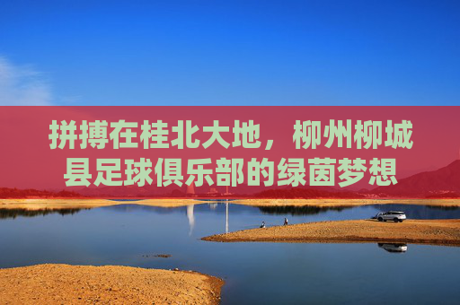 拼搏在桂北大地，柳州柳城县足球俱乐部的绿茵梦想