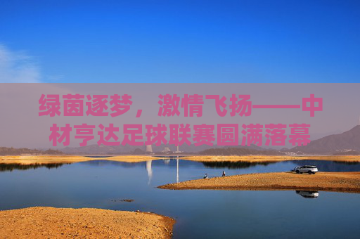 绿茵逐梦,激情飞扬——中材亨达足球联赛圆满落幕