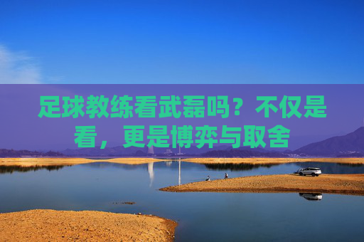足球教练看武磊吗？不仅是看，更是博弈与取舍