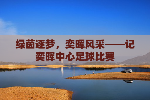 绿茵逐梦，奕晖风采——记奕晖中心足球比赛
