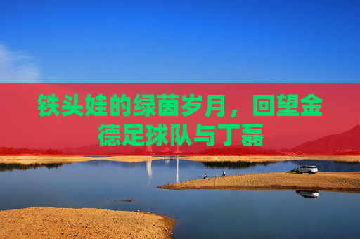 铁头娃的绿茵岁月,回望金德足球队与丁磊
